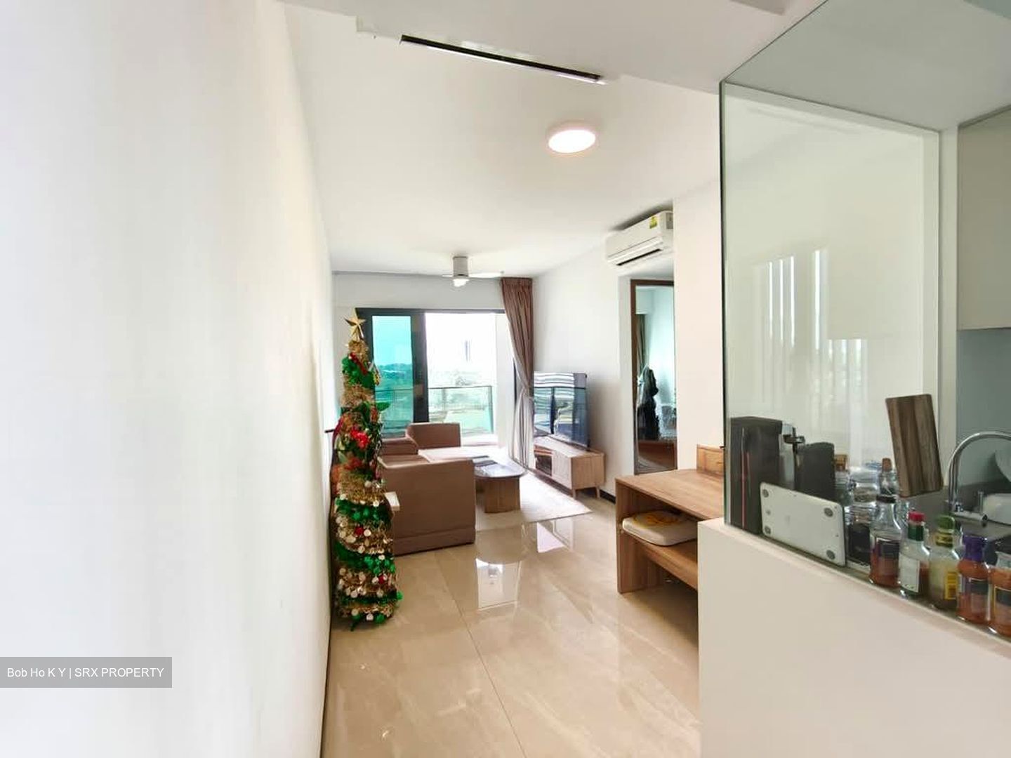 Normanton Park (D5), Apartment #540684161